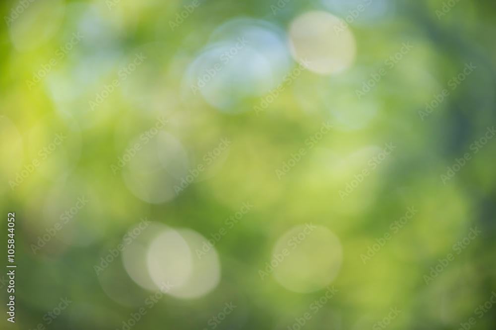 Fototapeta premium Tło zielony natura