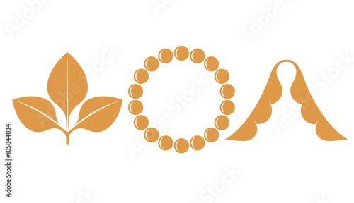 Soybean