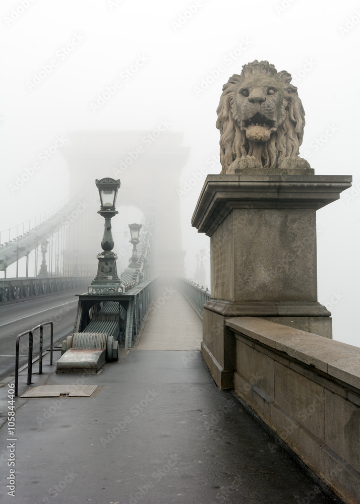 Fototapeta premium Chain bridge in fog - Budapest, Hungary