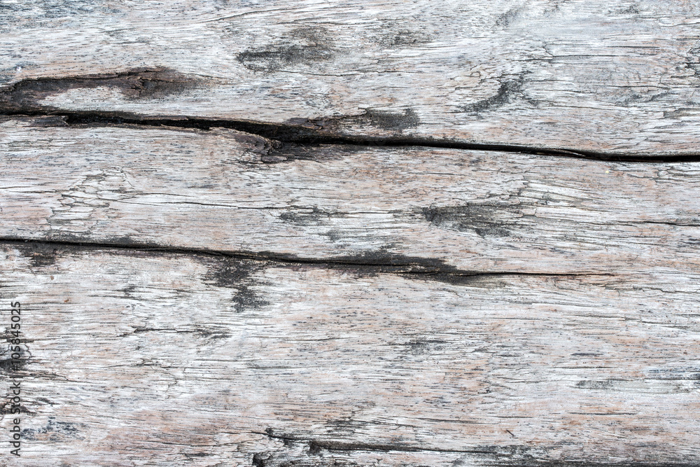 wood texture. background old panels wood texture. background old panels