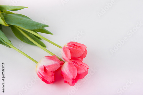 Fototapeta Naklejka Na Ścianę i Meble -  Nice bouquet of pink tulips on white table