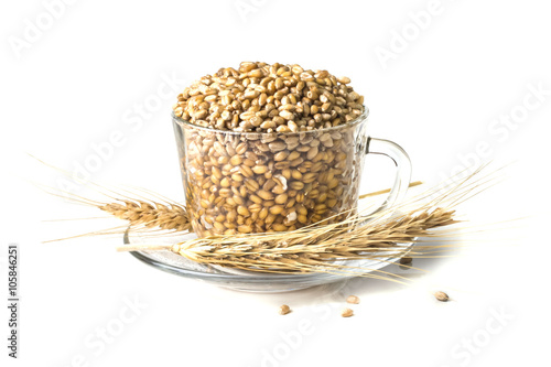 Pour a mug full of germinating seeds