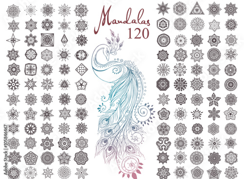 Beautiful card vector