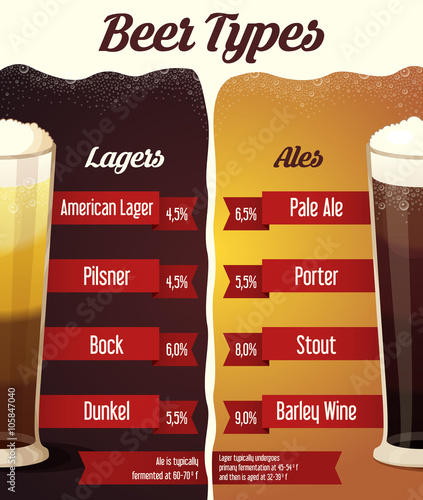 Types of beer infographic.