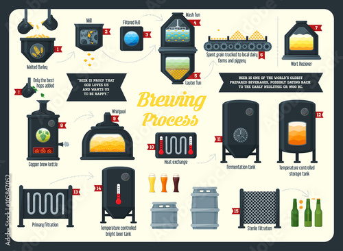 Beer brewing process infographic. Flat style.