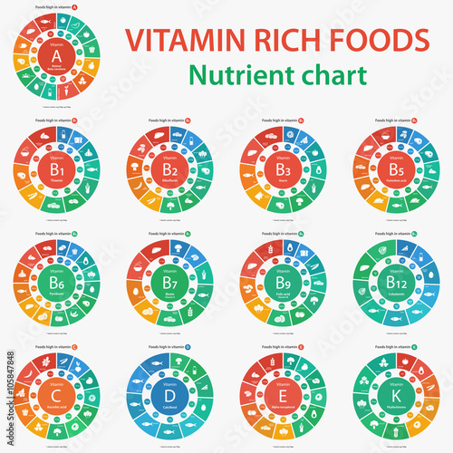 Vitamin rich foods. Nutrient chart. Foods high in vitamins. Vector illustration diagram chart set of vitamins A, B1, B2, B3, B5, B6, B7, B9, B12, C, D, E, K