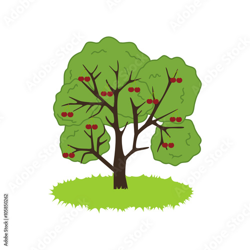 Cherry Tree Icon
