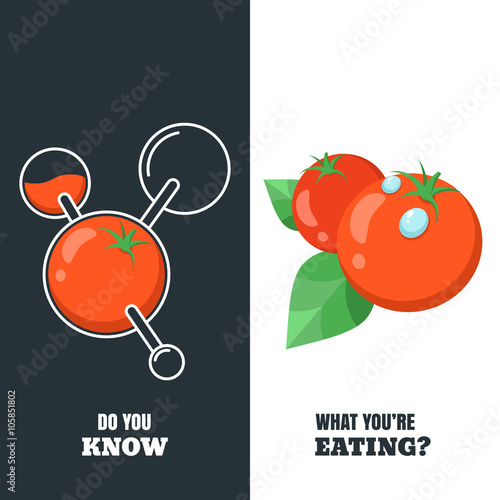 Healthy and gmo food concept. Vector illustration of organic tomatoes and tomato with pesticides and chemicals. Farming and agriculture vegetables icons. Do you know what you're eating.
