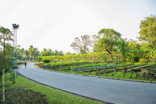 Fotografie Outdoor landscape at public park, Suan Luang RAMA IX Thailand.