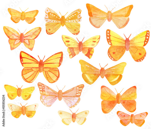 Set of many golden toned watercolor butterflies on white background