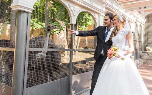 wedding couple and ostrich in zoo photo