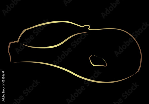 Gold Car Logo photo