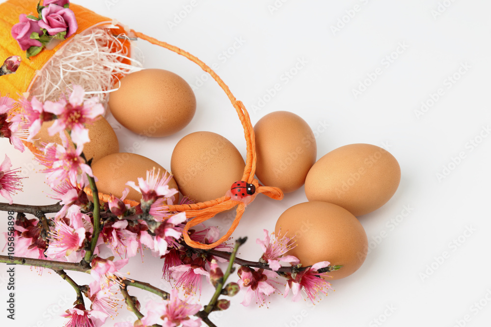 Fiori di mandorlo e uova per la Pasqua