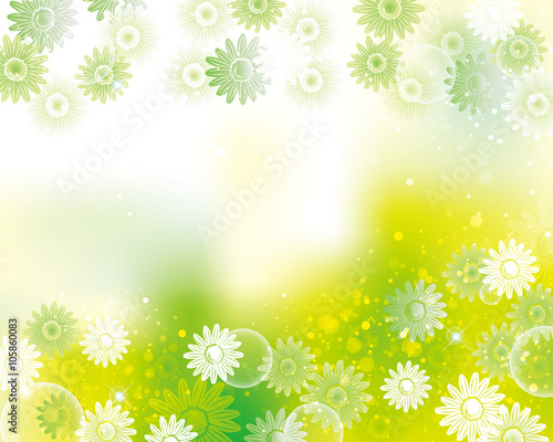 background of daisy