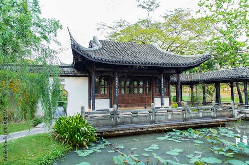 chinese garden with a pond
