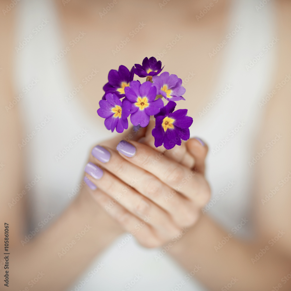 woman hands with beautiful fingernails in purple holding flowers woman hands with beautiful fingernails in purple holding flowers