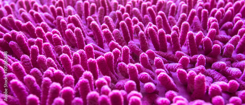 Pink carpet softness texture of doormat  close-up image  