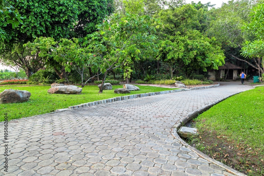 walkway in the park,Suanluang RAMA IX
