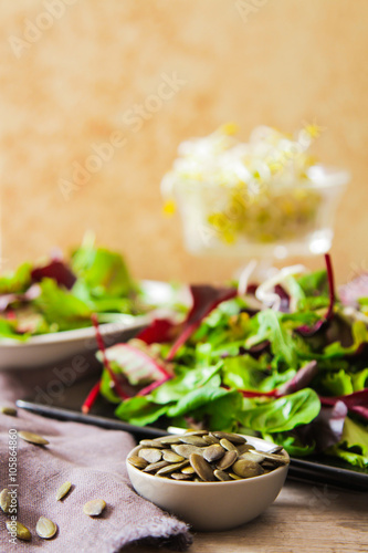 leaf green Salad with sprouts tasty food for diet