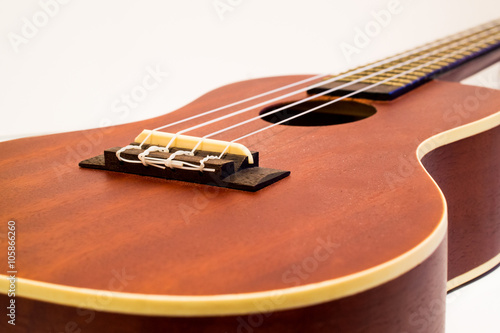 Ukulele close up of body