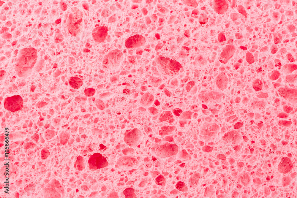 Sponge texture Sponge texture