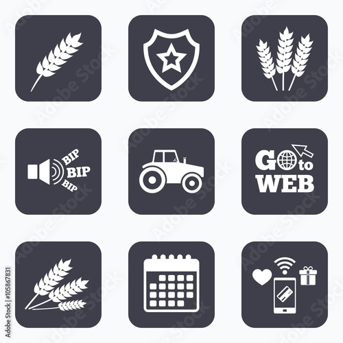 Agricultural icons. Wheat corn or Gluten free.