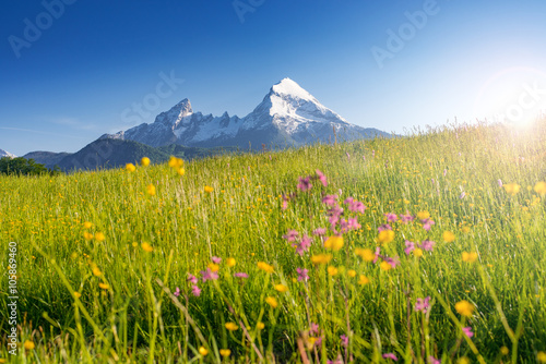 Watzmann mit Blumenwiese