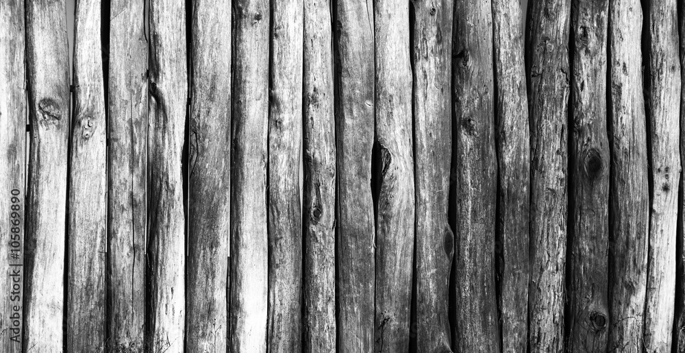 Palisade stockade palings logs. Abstract background, old, ancient. Black and white image. Palisade stockade palings logs. Abstract background, old, ancient. Black and white image.