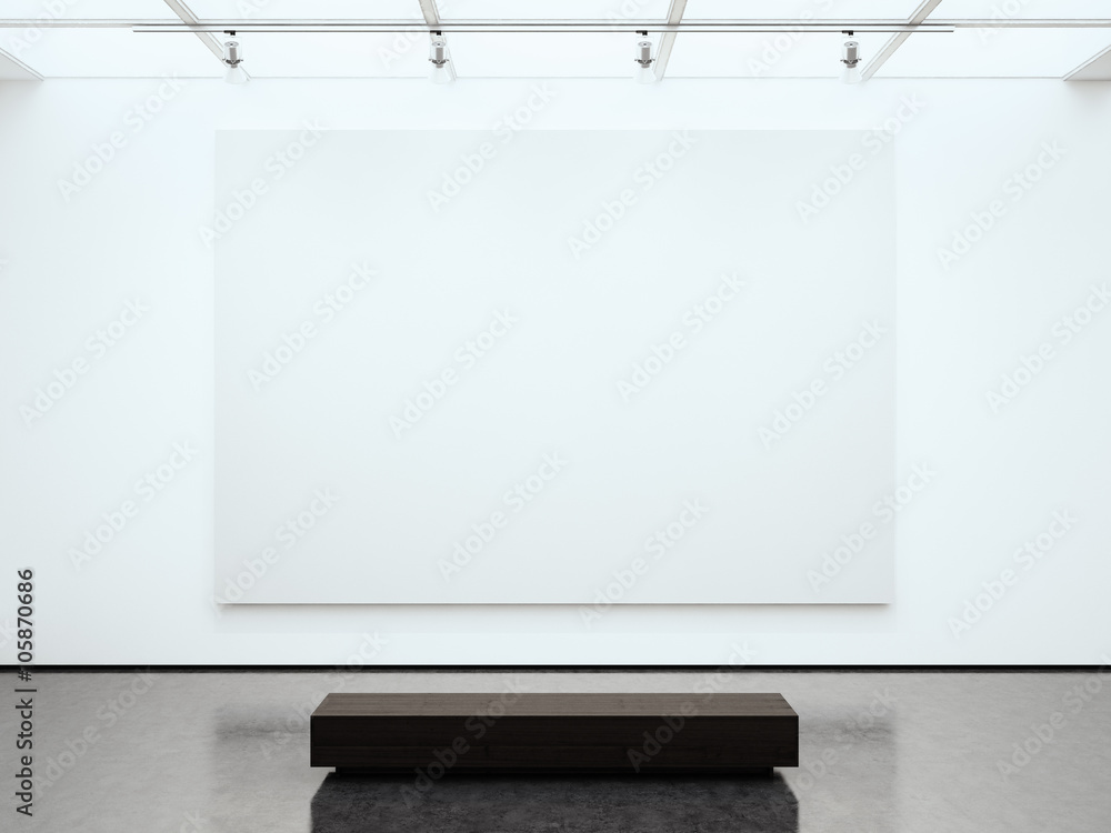 photo-blank-white-canvas-holding-contemporary-gallery-modern-open