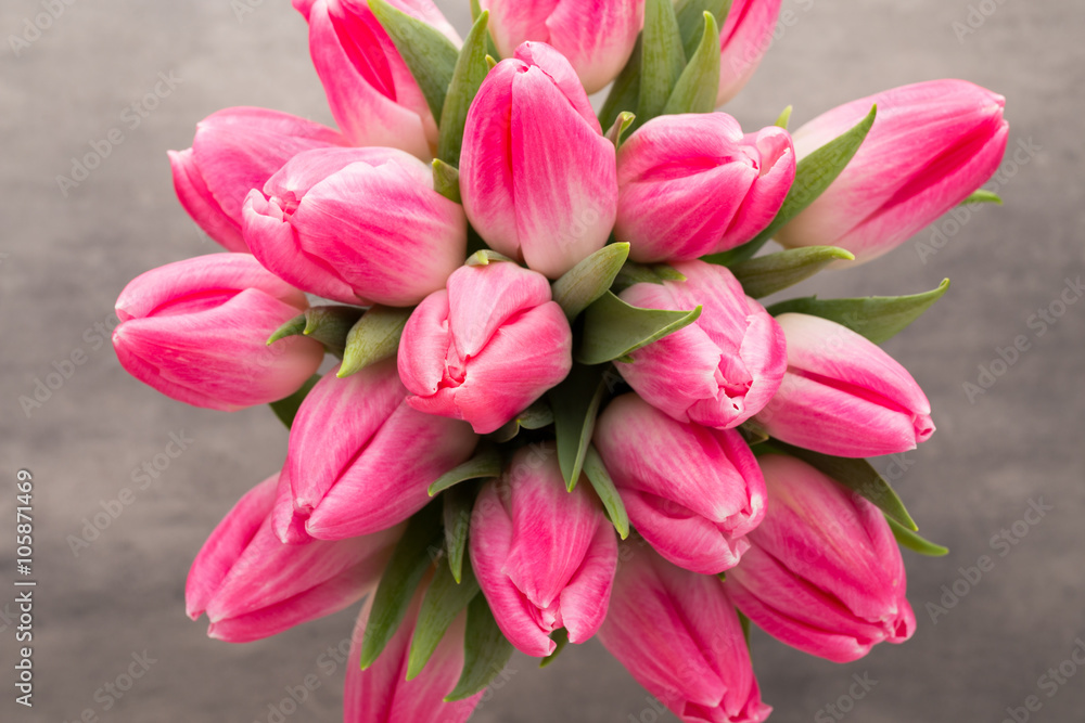 More tulip on the grey background. More tulip on the grey background.