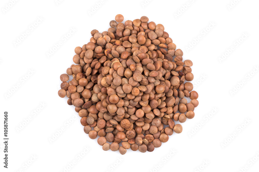 Lentils Isolated on White Background Lentils Isolated on White Background