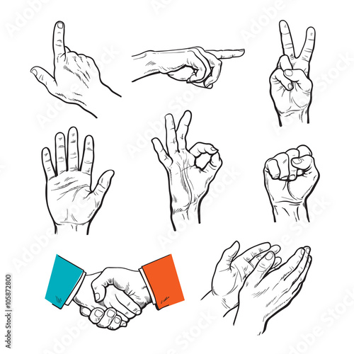 Drawn hands. A set of hands and fingers.