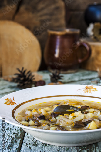 traditional Russian cabbage soup shchi with mushrooms