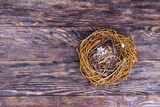 Empty birds nest on wooden background