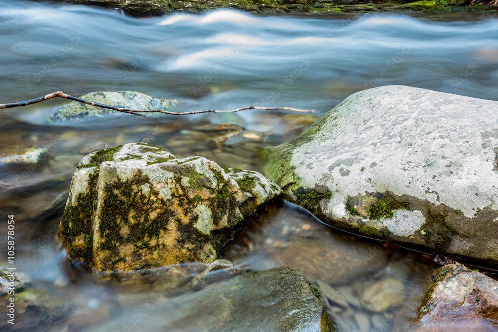 Snow Melt Rushing Past Mossy Boulders