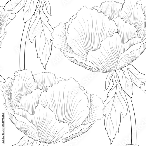 beautiful black and white seamless pattern flowers.