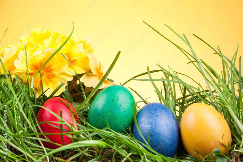 Easter colored eggs in the grass Easter colored eggs in the grass