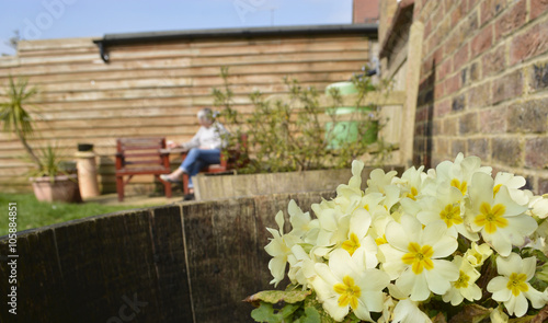 Mature person sat in the garden with Primroses on a nice summer's day.