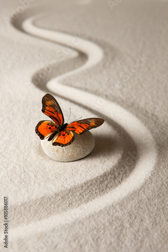 Zen butterfly