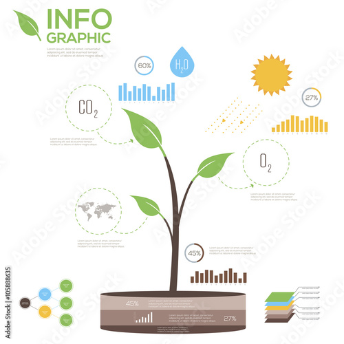 Ecological Infographic