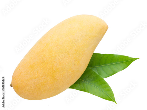 top view of mango on white background with clipping path