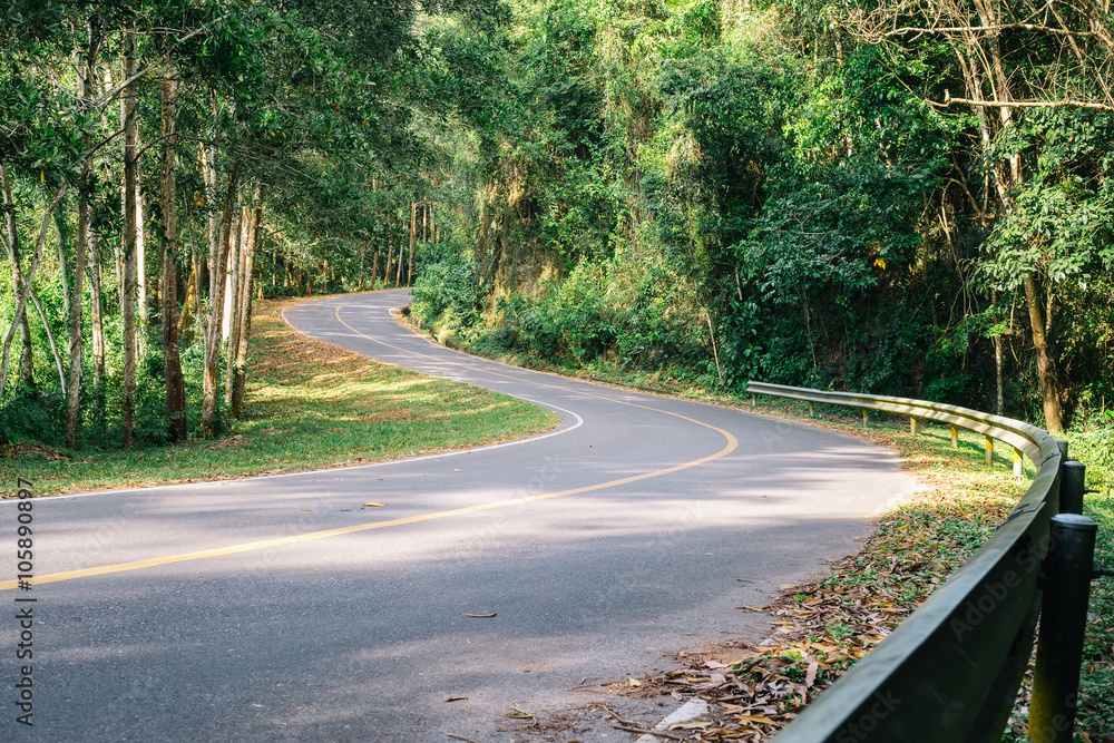 Obraz premium winding road in forest.