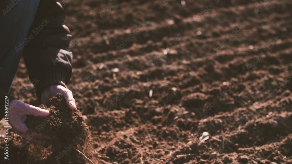 Farmer hands holding and pouring back organic soil. Soil, Agriculture, Sunlight. Farmer hands holding and pouring back organic soil. Soil, Agriculture, Sunlight.