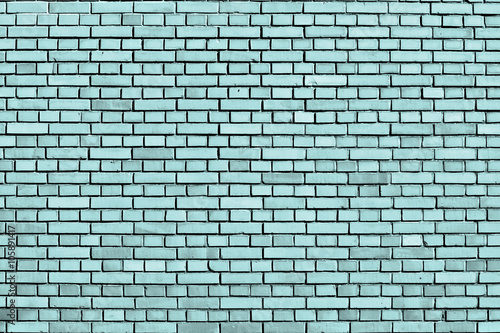 Limpet shell blue brick wall background
