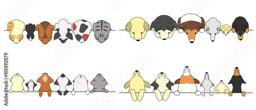set of dogs and cats looking up and down