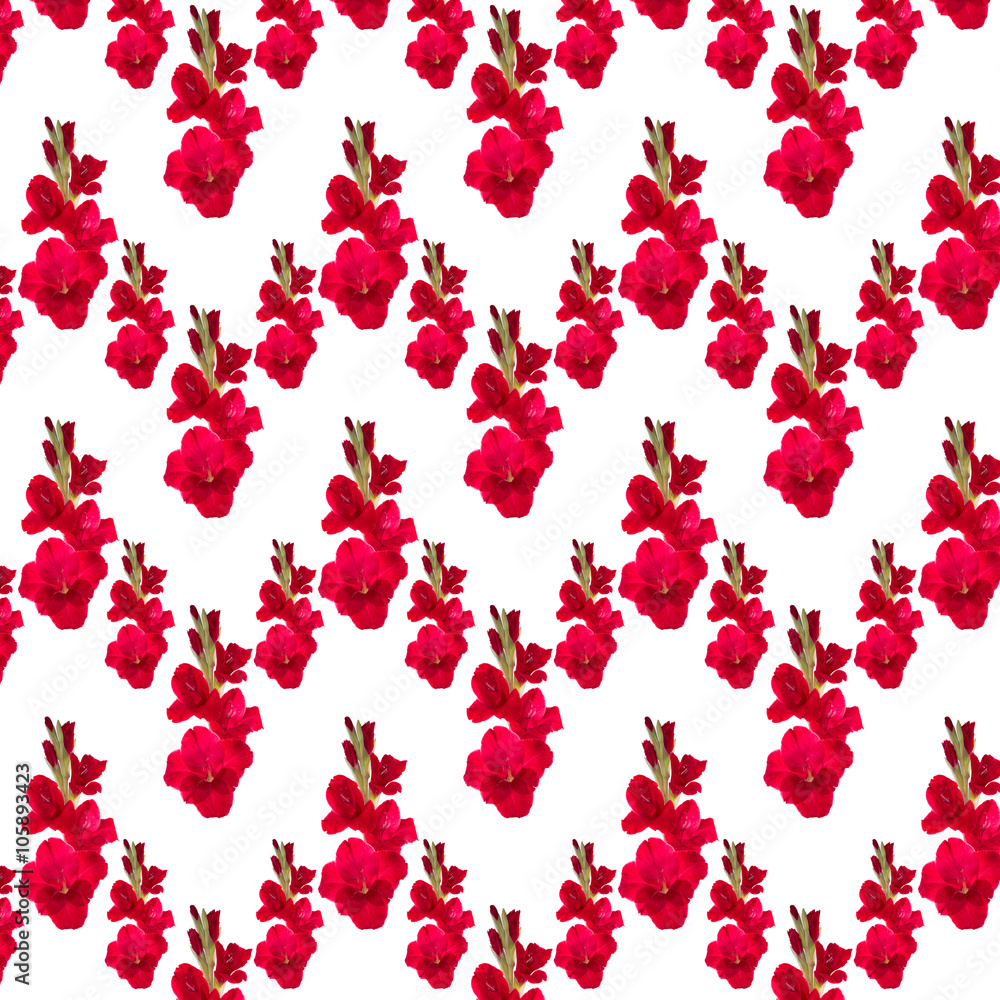 pattern red gladiolus pattern red gladiolus