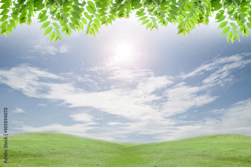 fresh green leaves ,natural green background with flare.