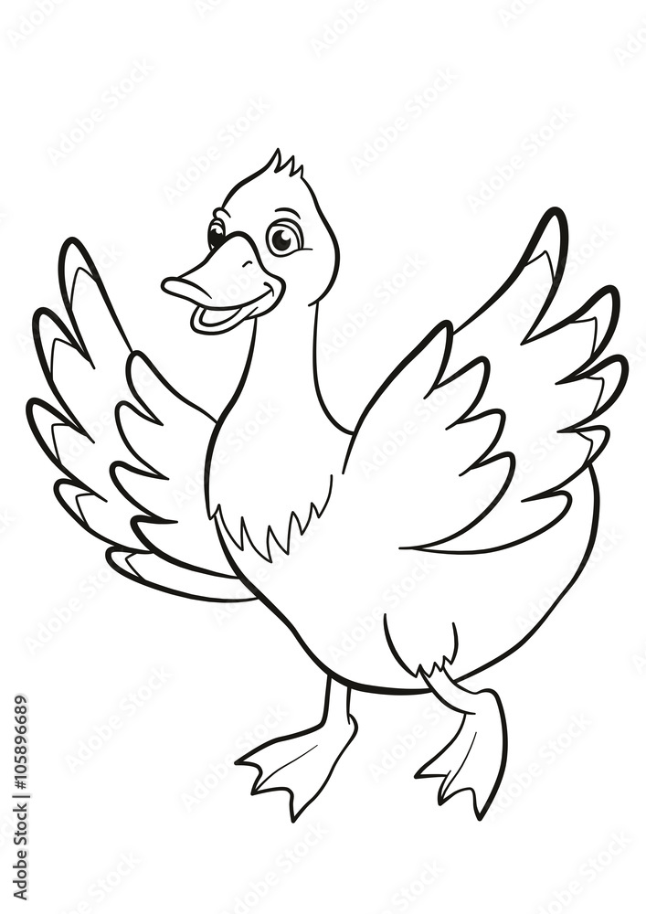 Obraz premium Coloring pages. Cute duck runs and smiles. It waves her wings.