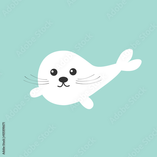 Harp baby seal pup with mustaches.  Cute cartoon character. Blue background. Flat design