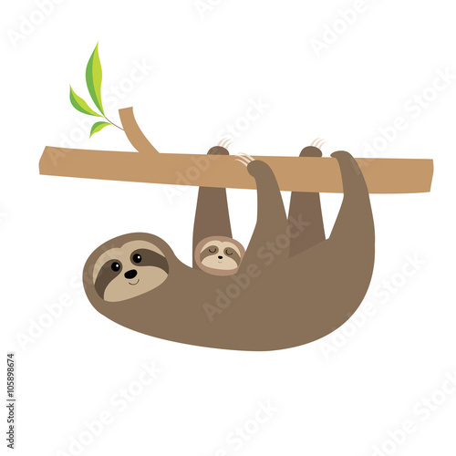 Sloth mother with baby. Cute cartoon character. Tree branch Wild joungle animal collection. Isolated. White background. Flat design photo